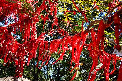 提前发布！ 《丝之歌》首个补丁现已上线